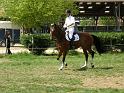 cce_laize_04mai08_0371