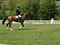 cce_laize_04mai08_0387