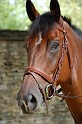 Oumpapa_EDB_13aug09_7767