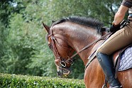 Oumpapa_EDB_13aug09_7808