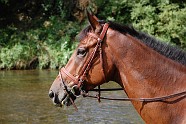 Oumpapa_EDB_13aug09_7831