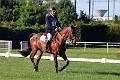 cce_edb_20130616_D70_5982