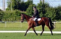 cce_edb_20130616_D70_5985