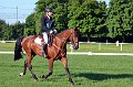 cce_edb_20130616_D70_5993