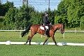 cce_edb_20130616_D70_5997