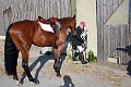cce_edb_20130616_D70_6030
