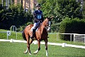 cce_edb_20130616_D70_6035