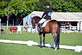 cce_edb_20130616_D70_6069