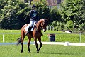 cce_edb_20130616_D70_6125