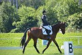 cce_edb_20130616_D70_6133