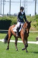 cce_edb_20130616_D70_6140