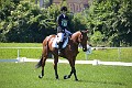 cce_edb_20130616_D70_6198