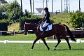 cce_edb_20130616_D70_6204