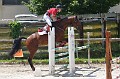 cce_edb_20130616_D70_6246