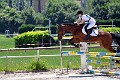 cce_edb_20130616_D70_6309