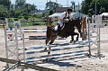 cce_edb_20130616_D70_6323