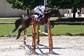 cce_edb_20130616_D70_6329