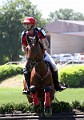 cce_edb_20130616_D70_6336_nath