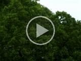 scipion-dress nevers 20170507 DSCF2037