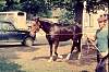1970_05_rallye_05_palef.jpg