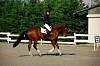 cce_brazey_03jun07_0911.jpg