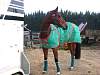 oump_cce_brazey_31mar07_4735.jpg