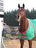 oump_cce_brazey_31mar07_4736.jpg