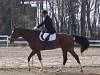 oump_cce_brazey_31mar07_4745.jpg