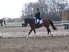 oump_cce_brazey_31mar07_4746.jpg