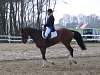 oump_cce_brazey_31mar07_4749.jpg