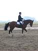 oump_cce_brazey_31mar07_4750.jpg