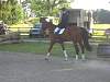 oump_dress_beaune_26jun06_003.jpg