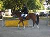 oump_dress_beaune_26jun06_005.jpg
