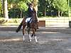 oump_dress_beaune_26jun06_006.jpg