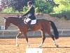 oump_dress_beaune_26jun06_017.jpg